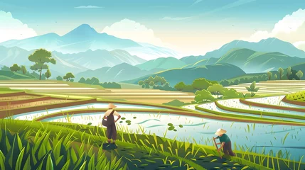 Foto auf Acrylglas Thailand. Rice terraces agricultural sceneries. Rice fields with asian farmers. Vector illustration. People planting and grow rice in rainy season. © Ziyan Yang