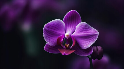 Fototapeta na wymiar Orchid flower. Illustration AI Generative
