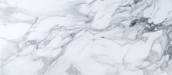 Obraz premium This close-up reveals the intricate patterns and textures of white marble, showcasing its detailed structure. The natural design of the marble is highlighted,