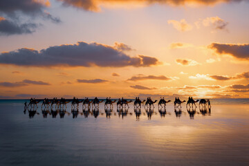 Cable Beach, Broome, camels on the shore at sunset. Western Australia