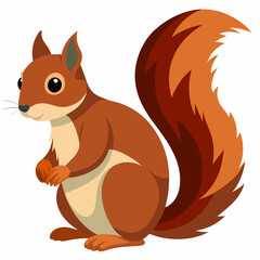 squirrel pet vector illustration draw cartoon pretty
cute