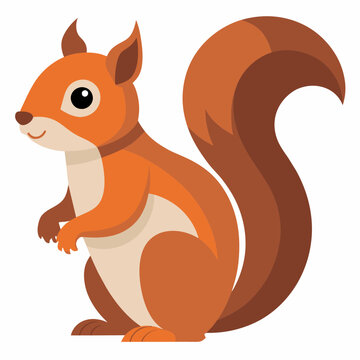squirrel pet vector illustration draw cartoon pretty
cute