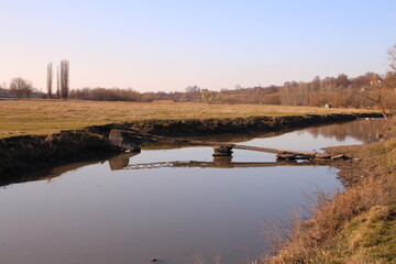 A pond with a few trees in the background