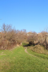 A path through a field