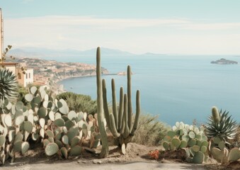 Seaside Landscape with Cacti Overlooking Coastal Town