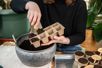 Aussaat im Torftopf, Topf mit Erde füllen, Gemüse selber anpflanzen
