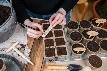 Aussaat im Torftopf, Topf mit Erde f&uuml;llen, Gem&uuml;se selber anpflanzen
