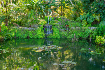 Pretty little pond in a public park in Florida in the United States.