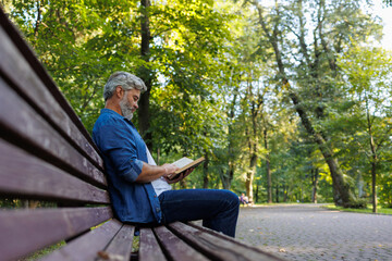Obraz premium Pondering Pages: Quiet Park Bench Reading