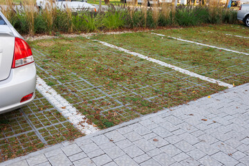 Grass-Carpeted Parking Haven: Natural Setting © Andrii 