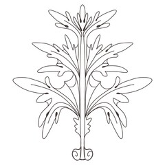 Illustration with a graphic leaf in the Baroque style, accanth, monochrome. Suitable for interior, wallpaper, fabrics, clothing, stationery.