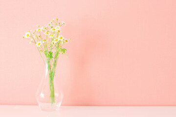 小さい白い花の背景