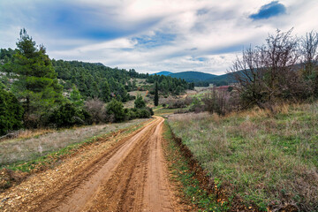 Fototapeta na wymiar Mountain country road at Attica, Greece.