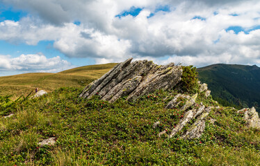 Fototapeta premium Valcan mountains in Romania covered by meadows with few small rock and stones