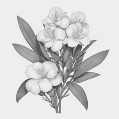 A Oleander tattoo traditional old school bold line on white background