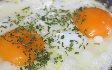Fried egg in a bowl