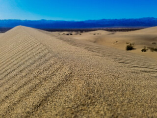 Fototapeta na wymiar Sandy Desert Dune