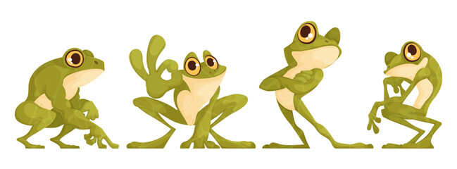 Set of four funny toads in different poses. Green toad of interesting cartoon shape, posing. Vector cartoon.