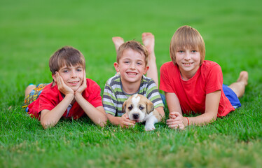 Fototapeta premium Group of children with a puppy on the grass in the yard