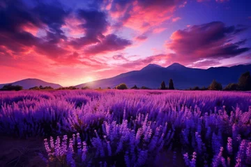Fototapeten Purple twilight skies as the last rays of sunlight bid farewell. A tranquil mountain range, casting long shadows on a meadow filled with lavender flowers. © DK_2020