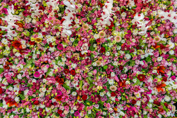 Background from different types of flowers. Rich colors. Red, white, green, yellow and pink colors. Gardening and growing plants. Flower exhibition in Amsterdam. Background. Close-up.
