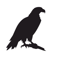 Eagle Silhouette