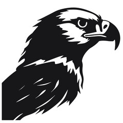 Eagle Silhouette