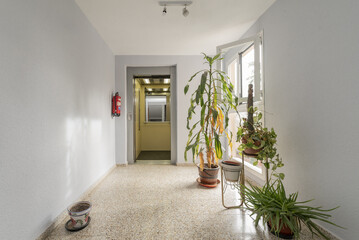 Landing of a residential building with open elevator door, terrazzo floors and some green plants