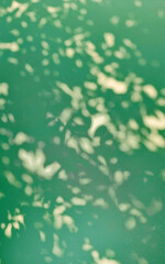 abstract shadow background of natural leaves falling on green curtain background in vertical frame, green tone shade of natural tree branches with sunlight. light background for design.