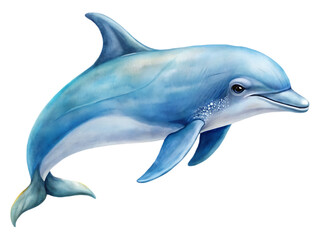 Dolphin on transparent
