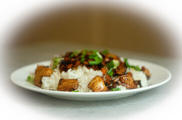 rice with chicken