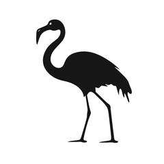 Flamingo vector silhouette illustration on a white background