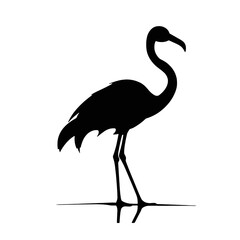 Flamingo vector silhouette illustration on a white background