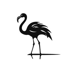 Flamingo vector silhouette illustration on a white background