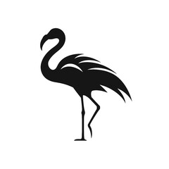 Flamingo vector silhouette illustration on a white background