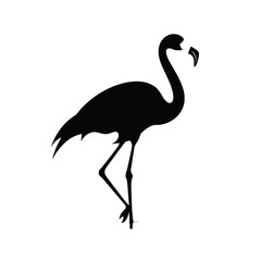 Flamingo vector silhouette illustration on a white background
