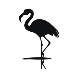 Flamingo vector silhouette illustration on a white background