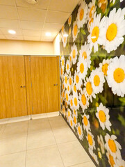 modern interior design in public toilet. bathroom with chamomiles