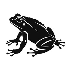 Vector Silhouette of Frog, Cute Frog Graphic for Amphibian and Nature Themes