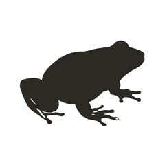 Vector Silhouette of Frog, Cute Frog Graphic for Amphibian and Nature Themes