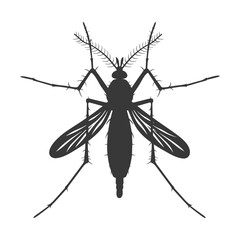 Silhouette mosquito animal black color only full body