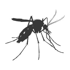Silhouette mosquito animal black color only full body