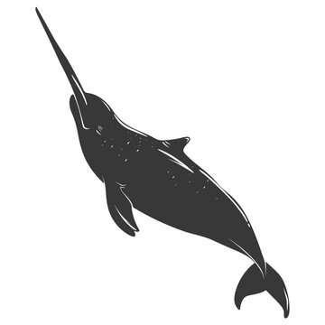 recommend clip art: Silhouette narwhal animal black color only full body