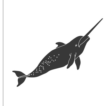 recommend clip art: Silhouette narwhal animal black color only full body