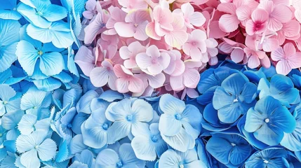 Schilderijen op glas Beautiful blue and pink colorful hydrangea flowers as background, top view © Татьяна Креминская