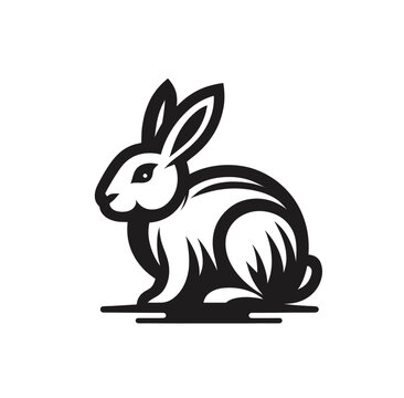 rabbit 0903 7