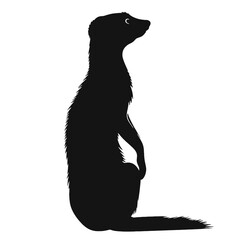 meerkat silhouette illustration