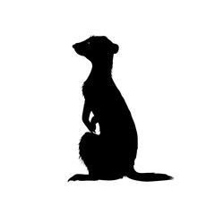 meerkat silhouette illustration