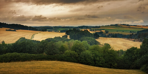 summer rural landscape. hilly agricultural fields with forest belts in warm evening light under a cloudy dramatic sky
