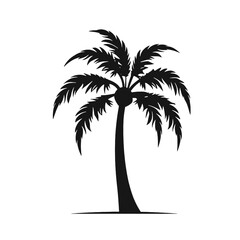palm trees Silhouette 